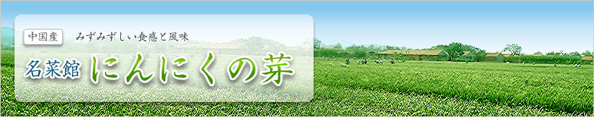 名菜館 にんにくの芽